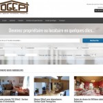 http://www.cogepi-conseil.fr/